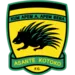 Asante Kotoko