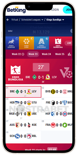 BetKing Virtual Sports iOS