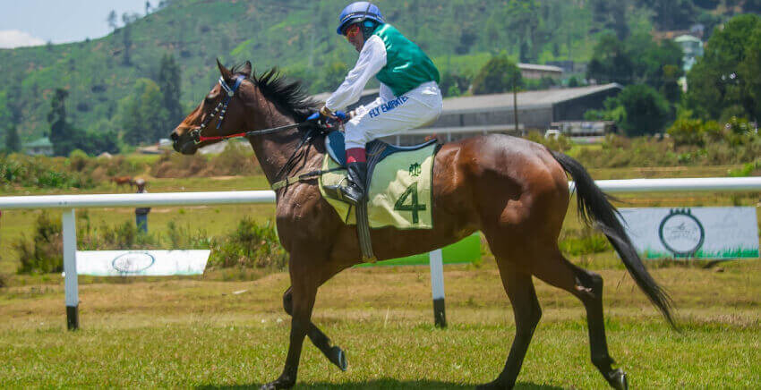 grand national horse racing