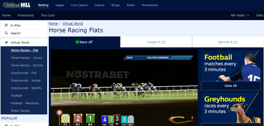 william hill virtual horse racing betting